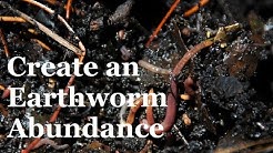 How to create an Abundance of Earthworms in your Garden 